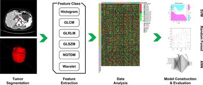 A Contrast-Enhanced Computed Tomography Based Radiomics Approach for Preoperative Differentiation of Pancreatic Cystic Neoplasm Subtypes: A Feasibility Study